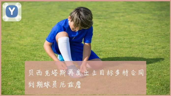 贝西克塔斯再度出击目标多特合同到期球员厄兹詹