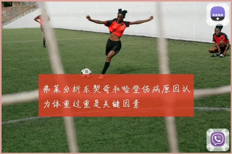 弗莱分析东契奇和哈登伤病原因认为体重过重是关键因素