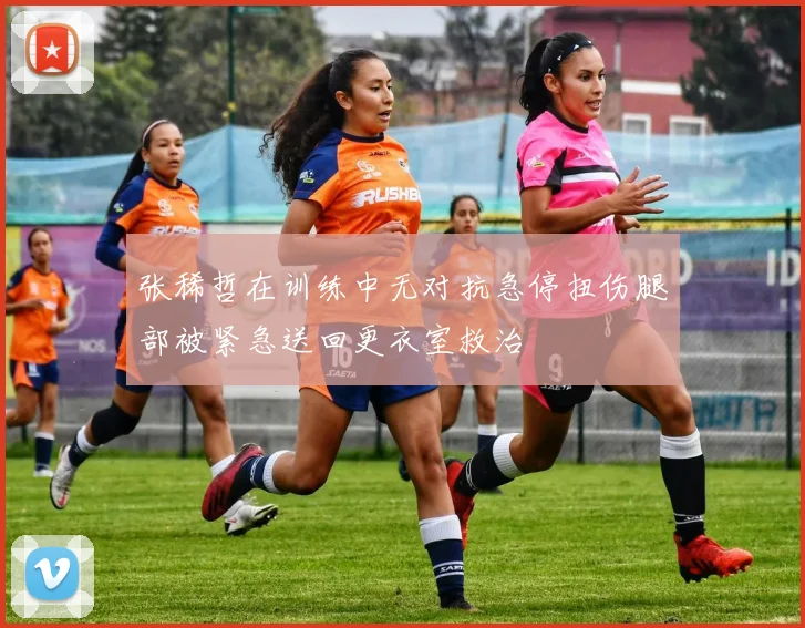 张稀哲在训练中无对抗急停扭伤腿部被紧急送回更衣室救治