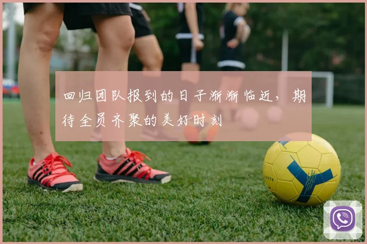 回归团队报到的日子渐渐临近，期待全员齐聚的美好时刻